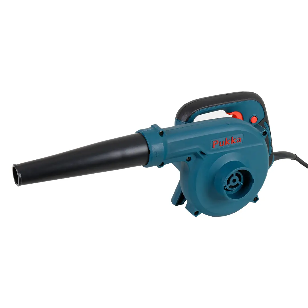 BL6001